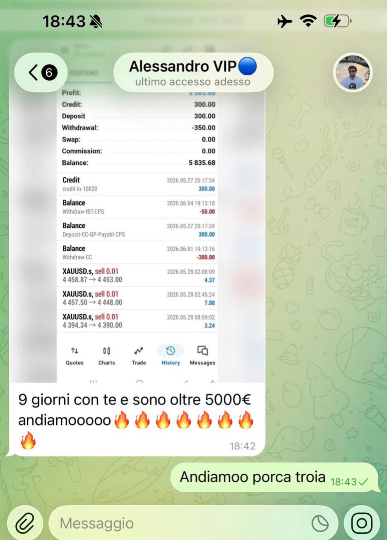 Screen profitti 6